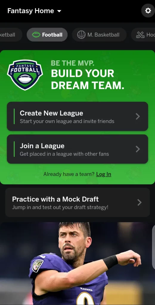 NFL Fantasy football