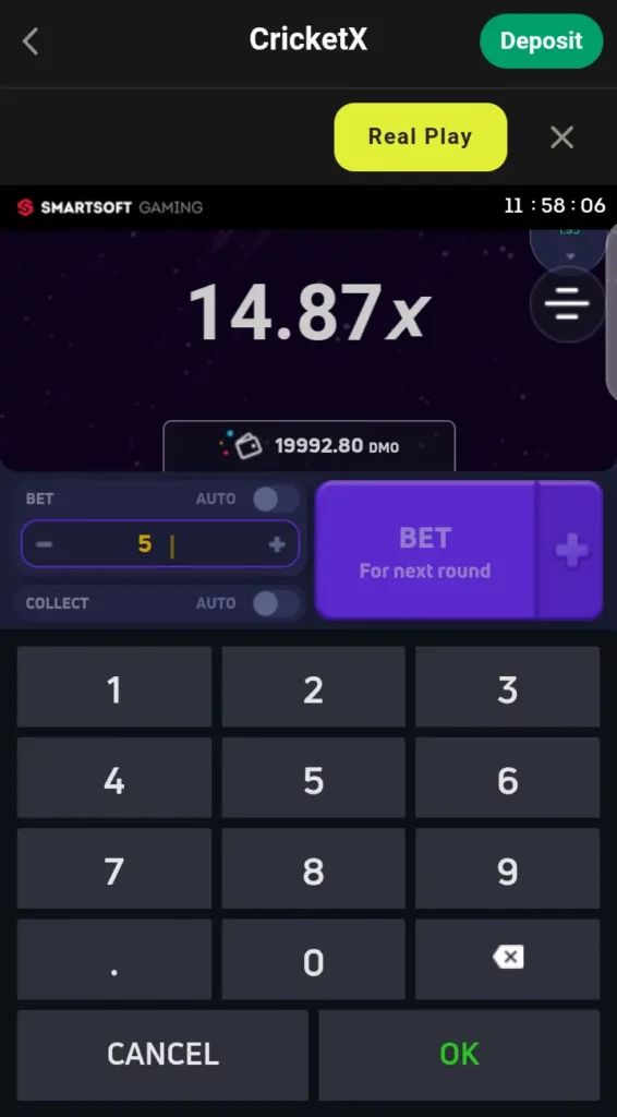 CricketX bet panel