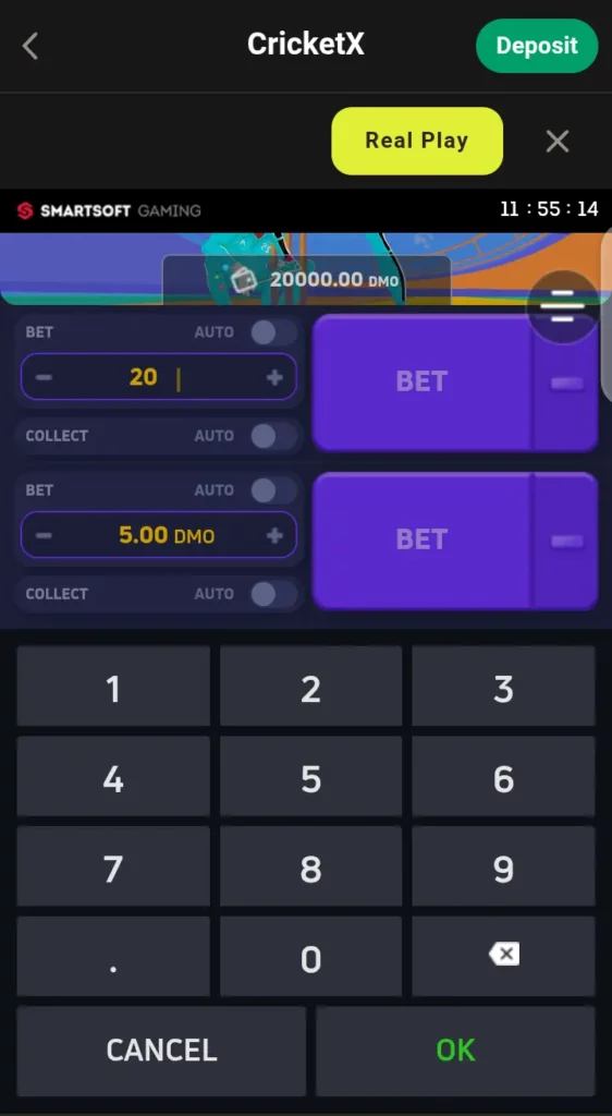 CricketX dual bet feature